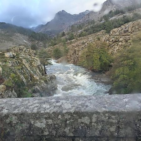 Niolu Daire Albertacce Dış mekan fotoğraf