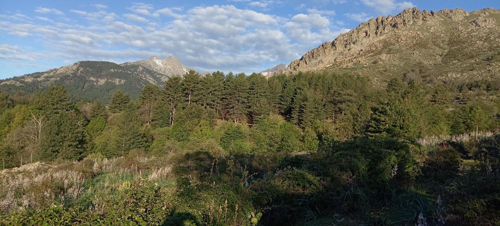 Niolu Daire Albertacce Dış mekan fotoğraf